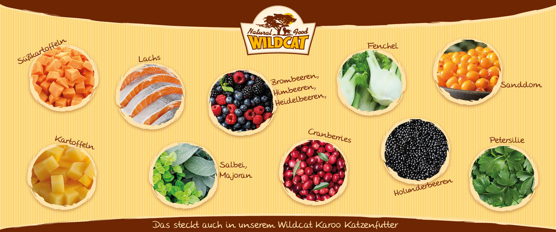 Wildcat Karoo