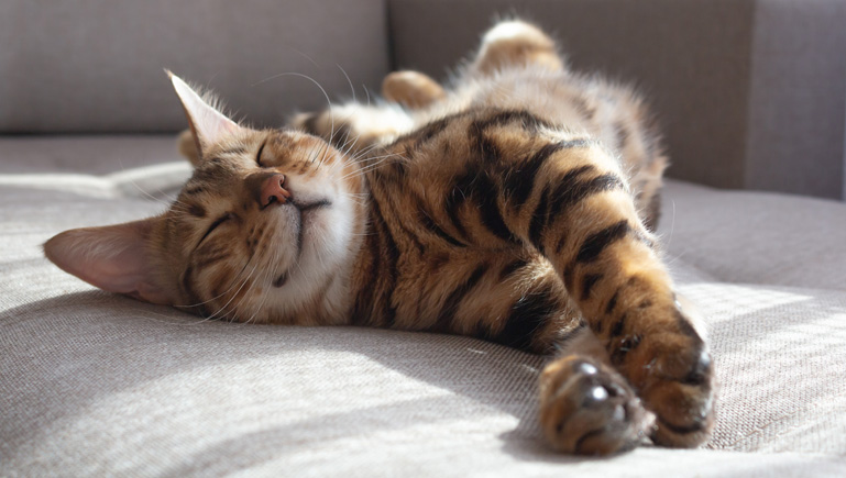 Hohe Akzeptanz und Verträglichkeit