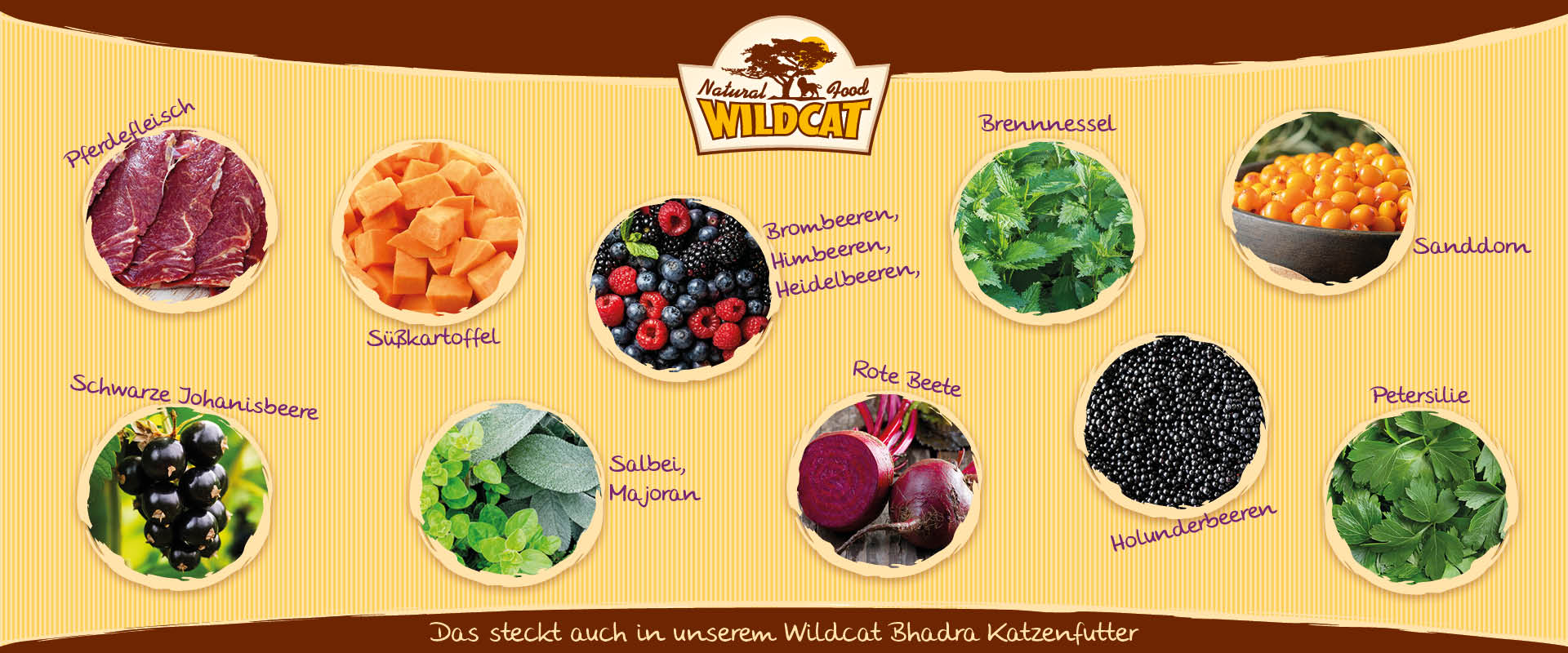 Wildcat Bhadra