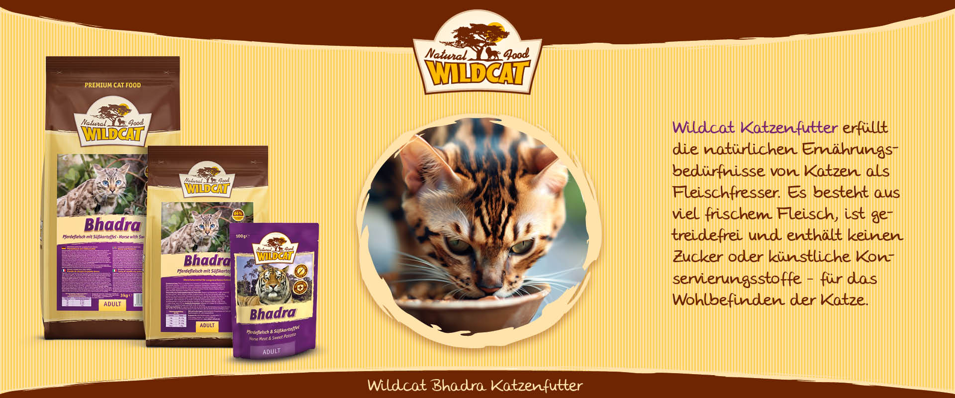 Wildcat Bhadra