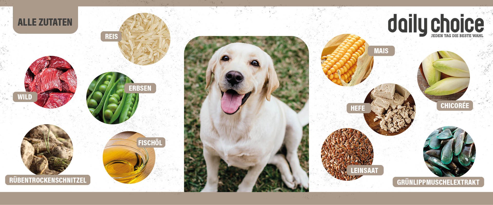 DailyChoiceBasicWild