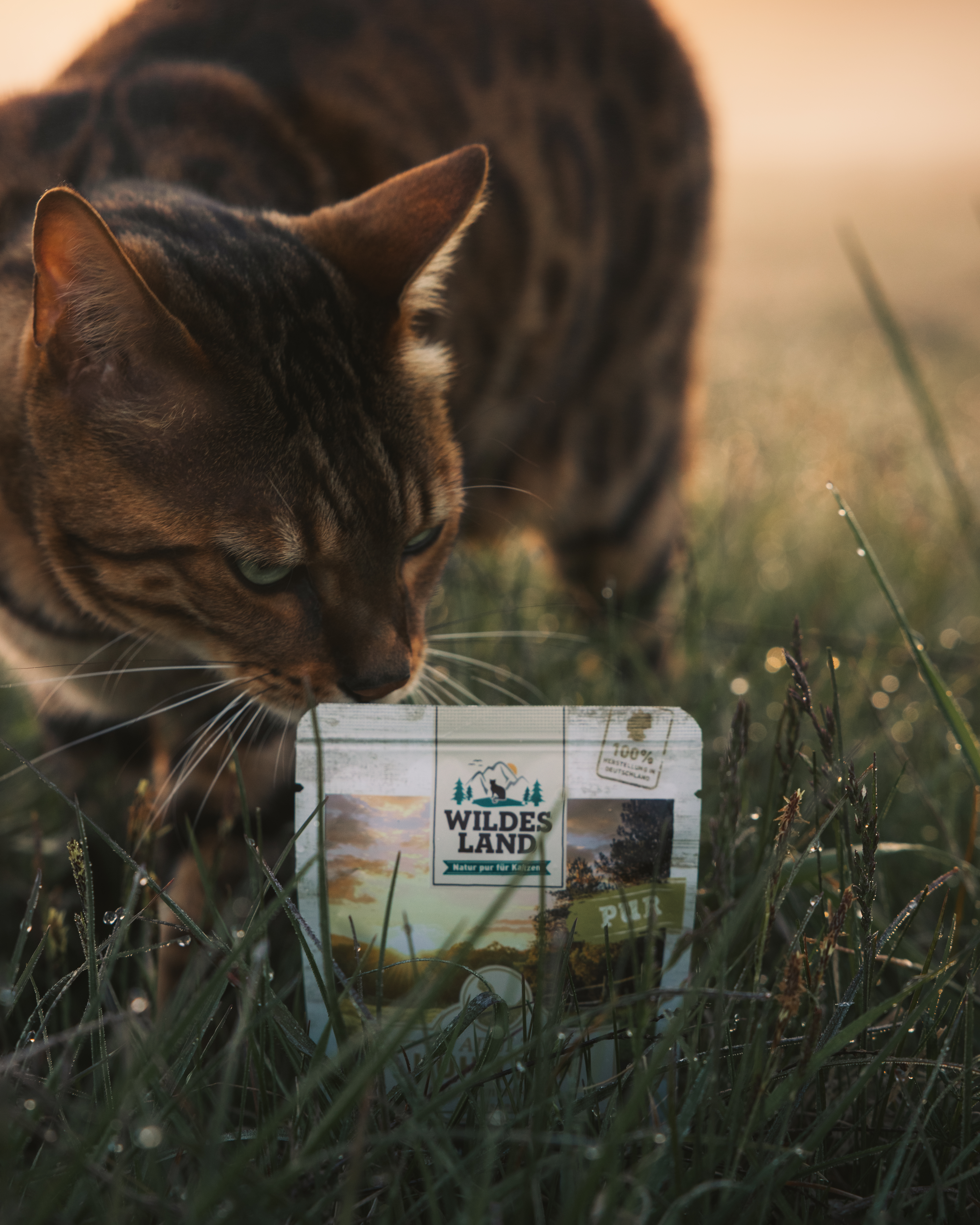 Wildes Land Katzenfutter Pouch in Wiese