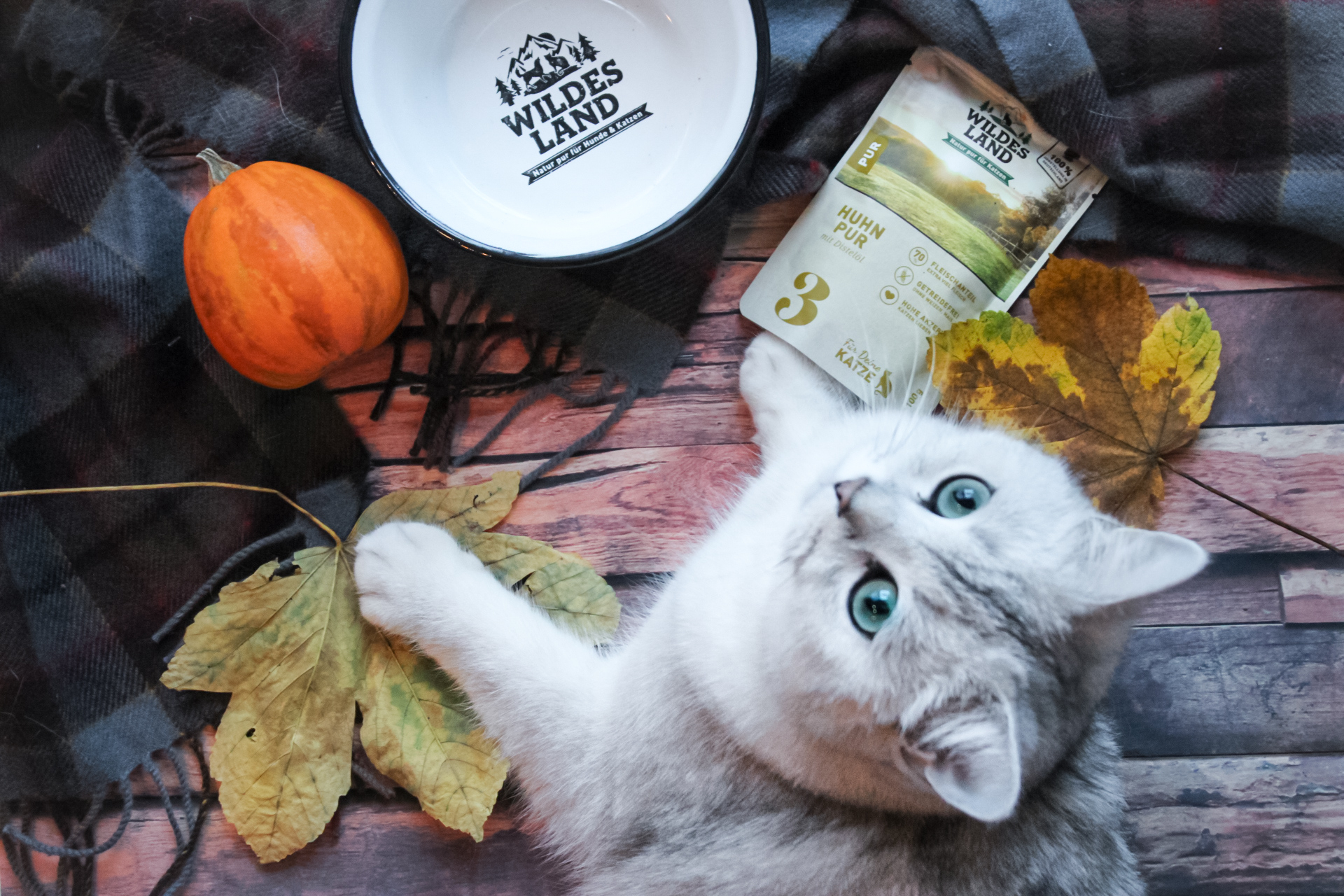 Wildes Land Katzenfutter Pouch mit Kürbis