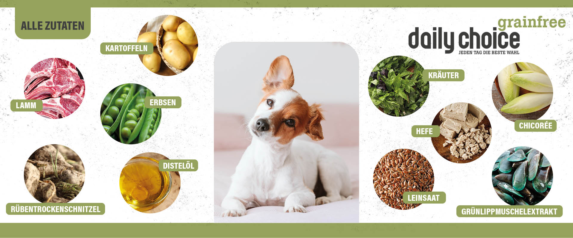 DailyChoiceGrainfreeLamm