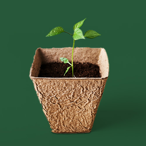 Gut für die Umwelt