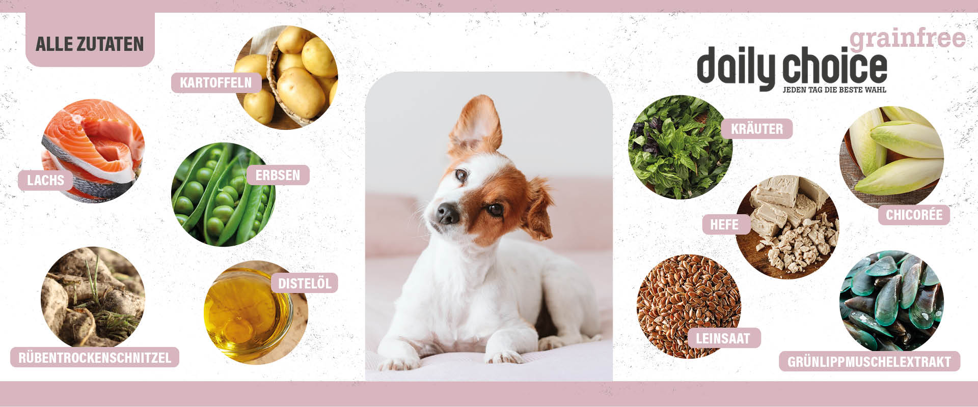 DailyChoiceGrainfreeLachs