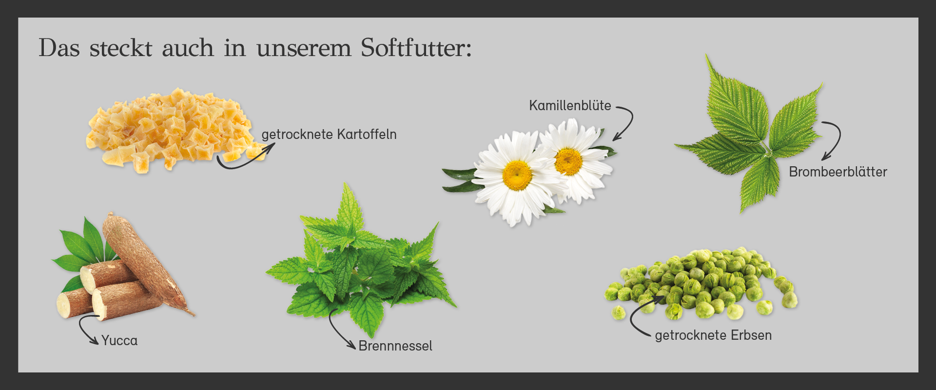 Primum Soft Quartett