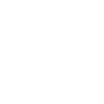 Mouse Pointer
