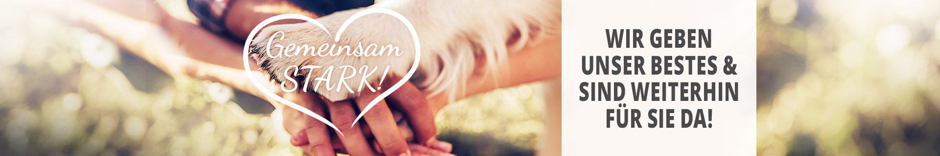 Informationen Corona-Virus