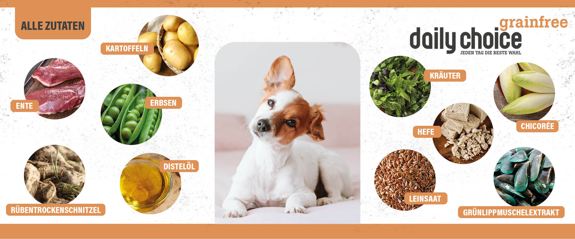 DailyChoiceGrainfreeEnte